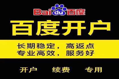 SEM服务托管实战案例分析报告